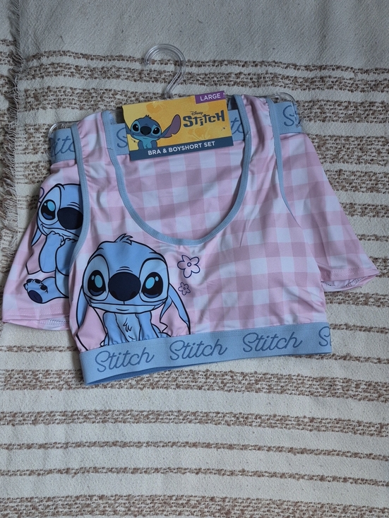 Disney Other - Disney Stitch Pink Gingham Bra & Boyshort Set with Blue Trim
